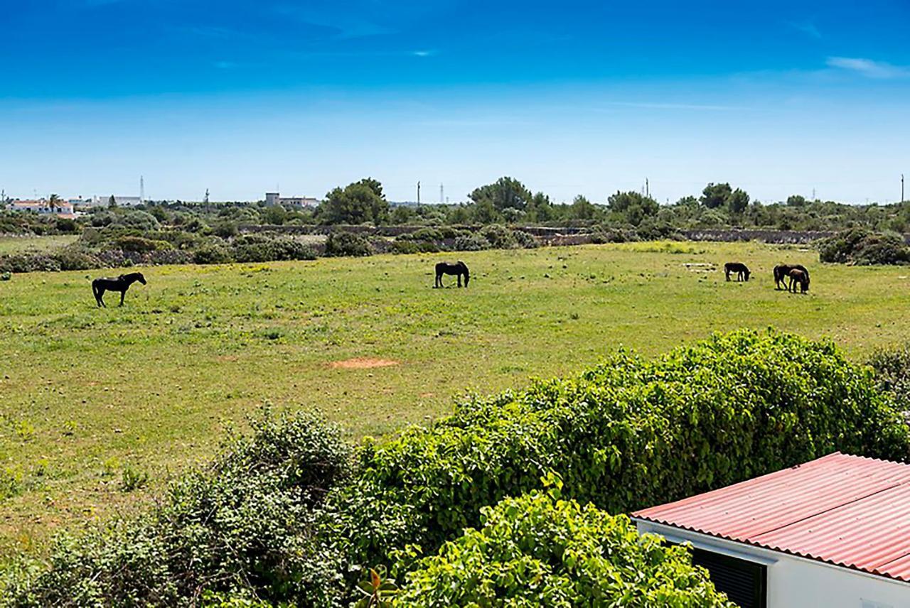 Casas Menorquinas Apartment Cala Blanca  Bagian luar foto